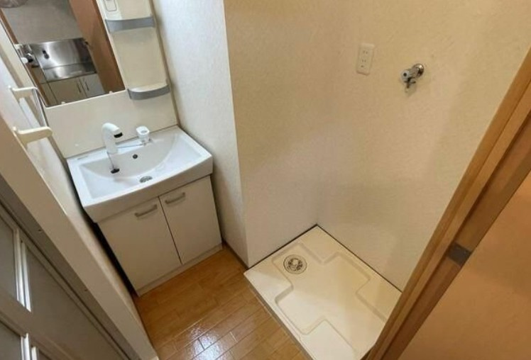 ハティのその他