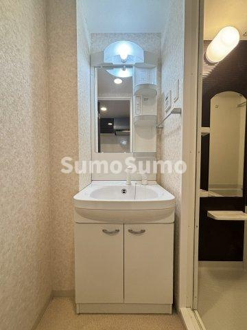 Luxe難波西Ⅲの洗面所