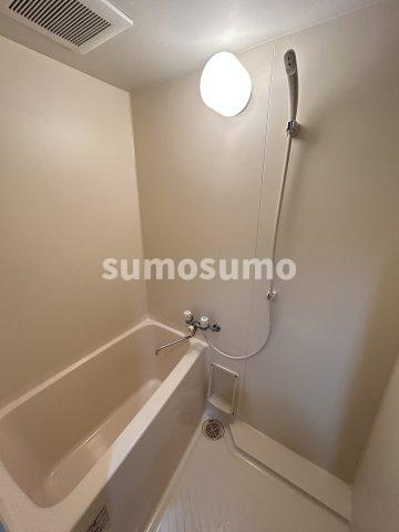 ラナップスクエア上本町の浴室