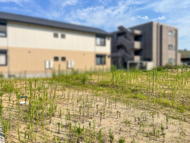 四日市市日永1丁目《全3区画》の前面道路含む現地写真