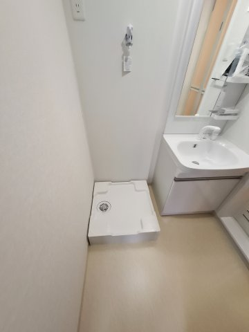 F asecia Somnusのその他