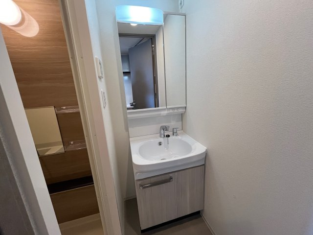 プレサンス東小橋エレディータの洗面所