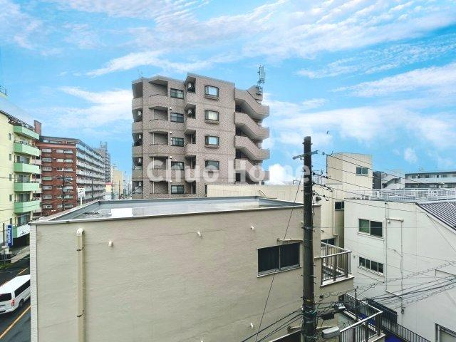 ダイアパレス八広花水木通りトリニティの展望|眺望