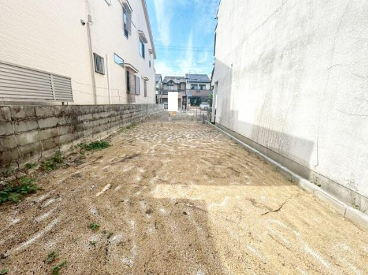 【展望】 | K12165-紫竹