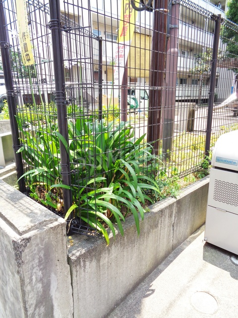 リューズコートのその他|植栽です☆