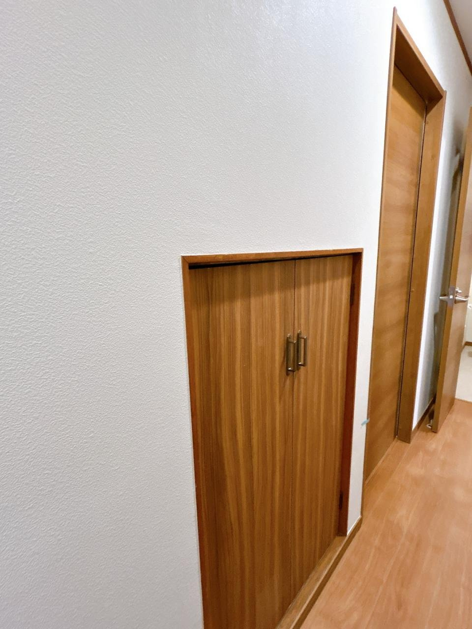 中古戸建　郡山市大槻町字春日　大槻小・大槻中の収納|階段下のデッドスペースを活用した収納は日用品などの収納に便利です！