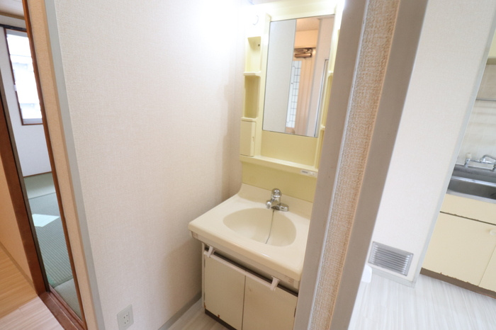 熊本市南区御幸笛田６丁目のアパートの独立洗面台