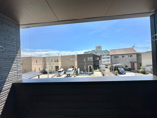 PUNANAの展望