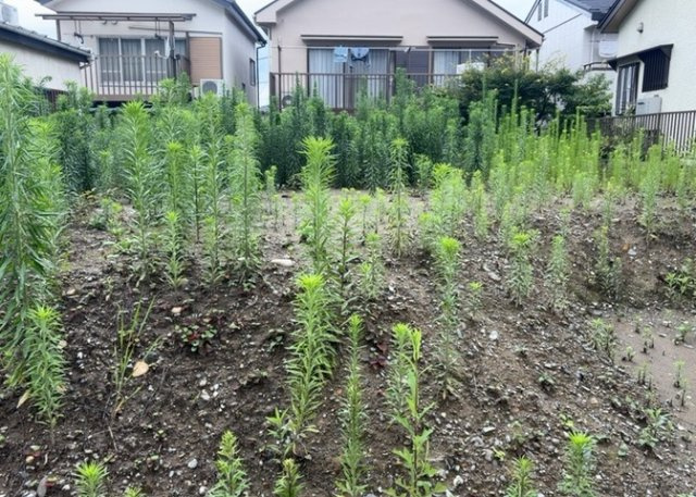 【外観】 | 土地の形が極端に長細かったり、狭小地、あるいは道路との高低差がある傾斜地だった場合、後々売ろうとしても買い手がつかない場合もあります。後々、売却することになった時に価値の下がらない土地を選びましょう。