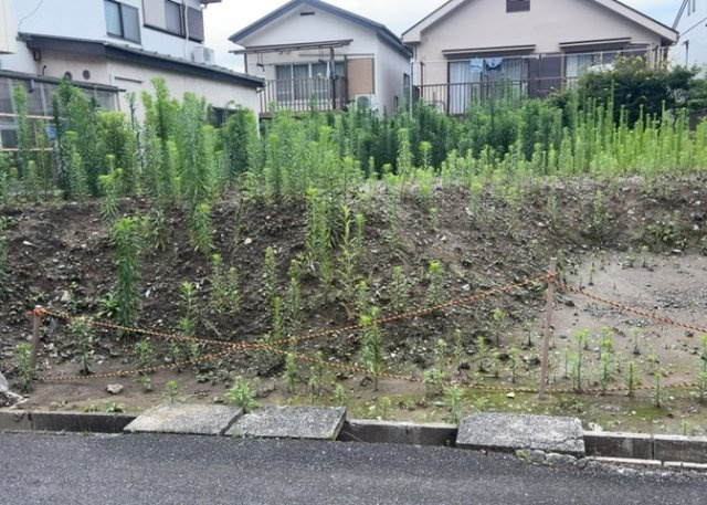 【外観】 | 土地探しをしていると都市計画区域という言葉を目にすると思います。法律によって、都道府県知事や国土交通大臣が指定するエリアのことを指しており、都市計画区域は市街化区域と市街化調整区域に分けられています。