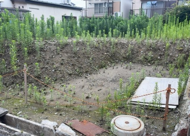 【外観】 | 隣家の土地はどうなっているのか、生活利便施設が近くにあるのか、学校まで近いかなど、お客様のライフスタイルにあわせたイメージが重要です。また、近くにあると困る施設が近くにないかも確認するといいでしょう。