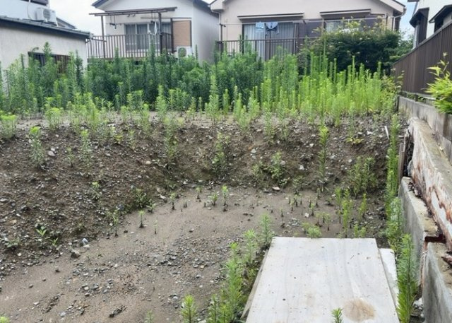【外観】 | 土地購入を検討されている場合、境界杭がない状態で購入してしまうと境界確定測量をする必要があり、費用がかかります。購入の前に、売主、隣土地所有者立ち合いのもと境界を確定し境界杭を設置するのがベストです。
