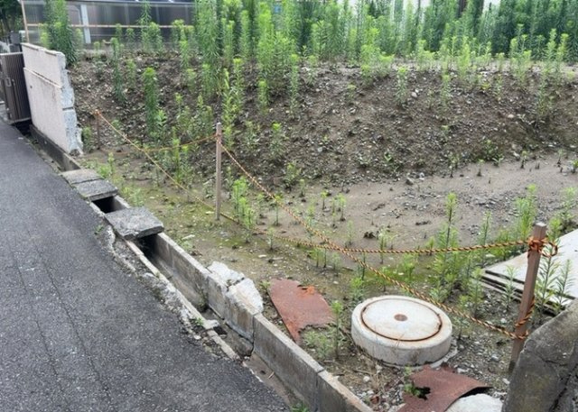 【外観】 | 家を建てる前提で土地を探している場合、地盤の丈夫さは譲れない条件の一つです。地盤が脆弱だと追加工事が必要となります。また、過去に地盤沈下や液状化現象を起こした土地は、できるだけ避けた方がいいでしょう。