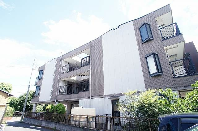 アムール青木