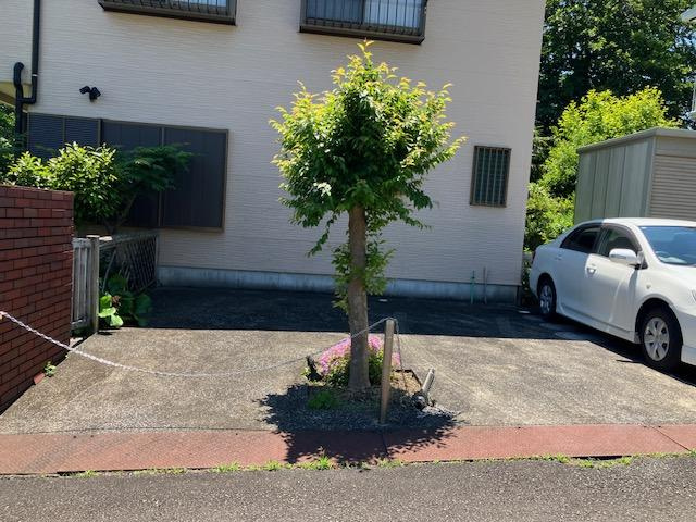 伊東市　大室高原別荘地の駐車場