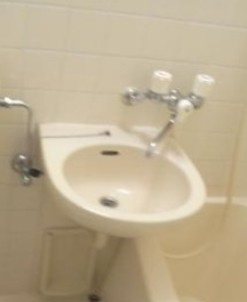 ライオンズマンション都立大学第２の洗面所