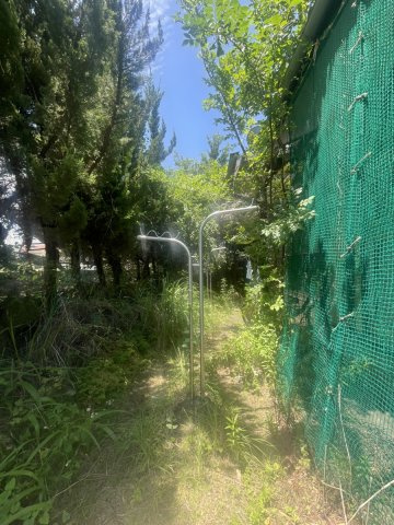 本野町戸建ての庭