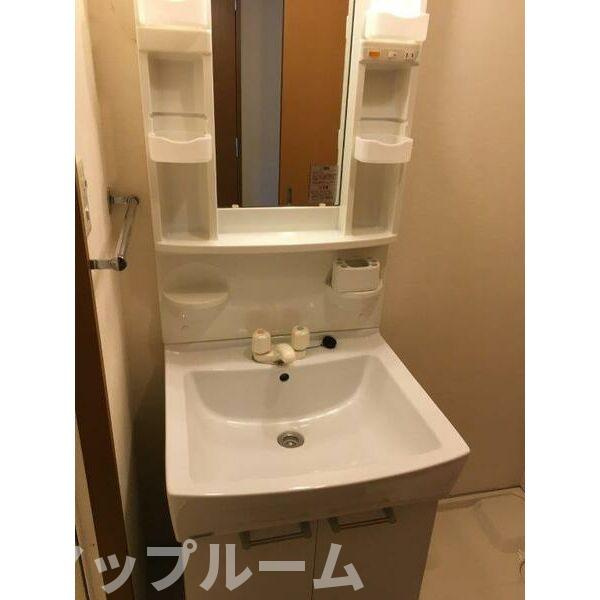 名古屋市守山区新守西の賃貸マンションの洗面所