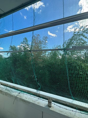 フェリシア上豊田の展望