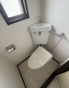 しんでんハイツⅡのトイレ