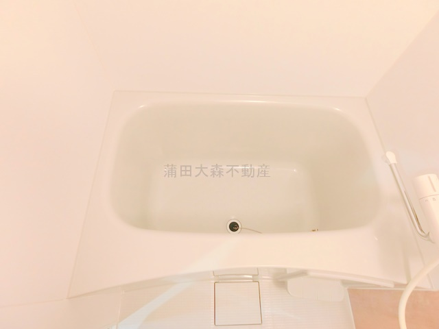 ブルージュ大田六郷の浴室