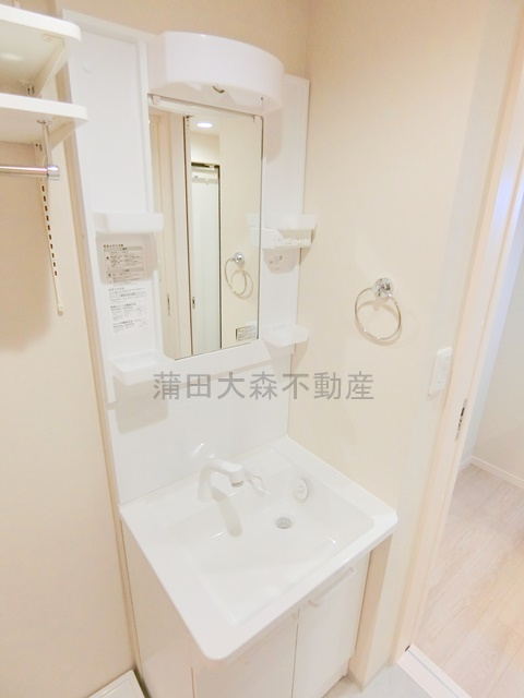 ブルージュ大田六郷の洗面所