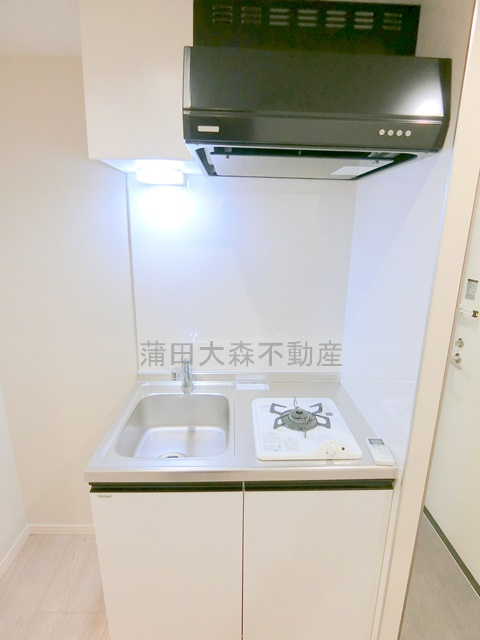 ブルージュ大田六郷の洗面所|ガスキッチン
