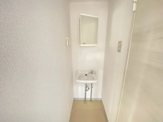 ホワイトキャッスル根本ビルの洗面所