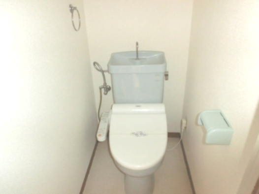 熊本市中央区国府３丁目の賃貸マンションのトイレ