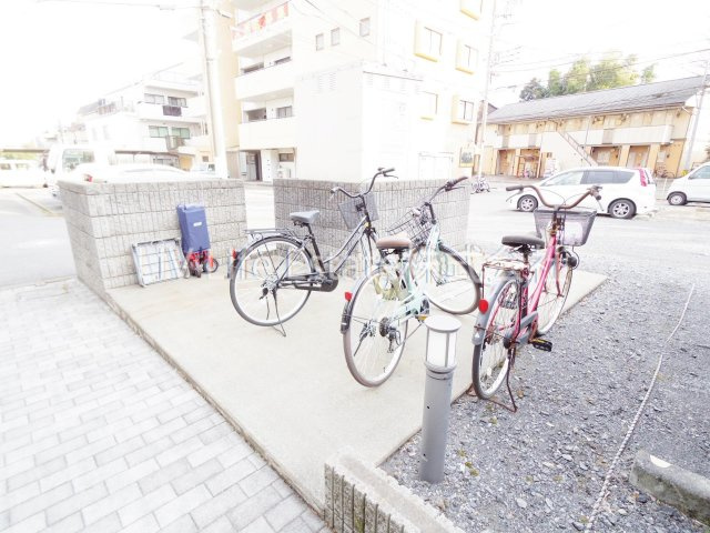 ディオサ コルテ