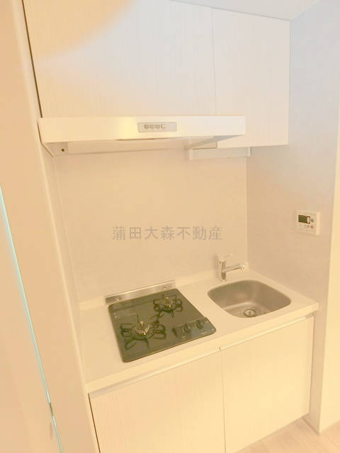 アピチェ田園調布のキッチン