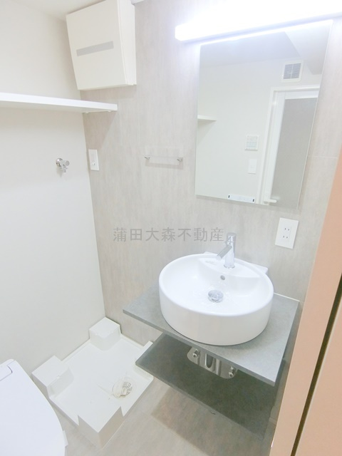 アピチェ田園調布の洗面所|洗面脱衣所　独立洗面台　室内洗濯機置き場