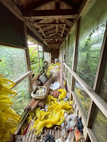 いすみ市岬町椎木　中古戸建の内装|2026年6月28日撮影