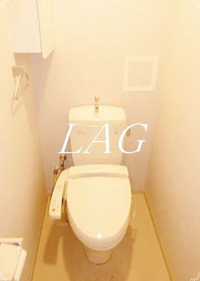 【トイレ】 | ルピナス赤羽駅前カーディナルタワー | トイレです。