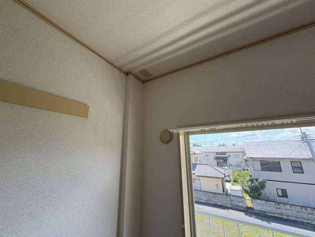 フラット・フラワーのその他