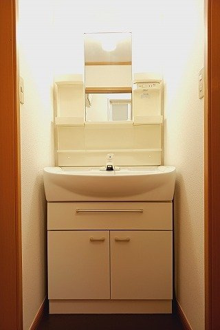 フェニックス大日向の洗面所
