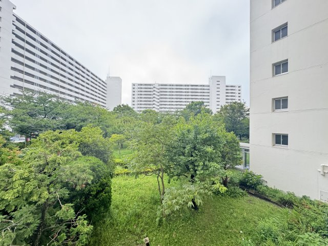 コスモ西葛西（5階部分）／仲介手数料無料／内装新規フルリノベーションの展望