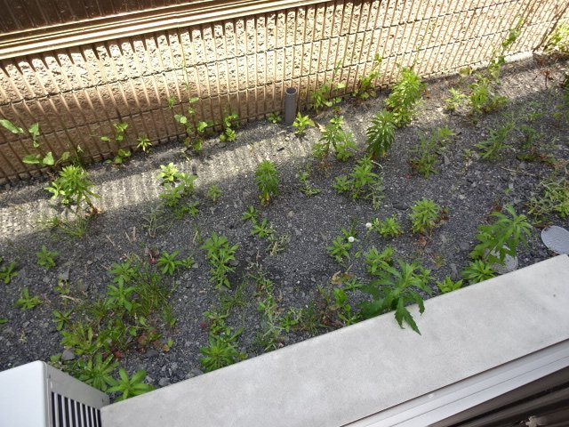 リラサンテ立花の庭