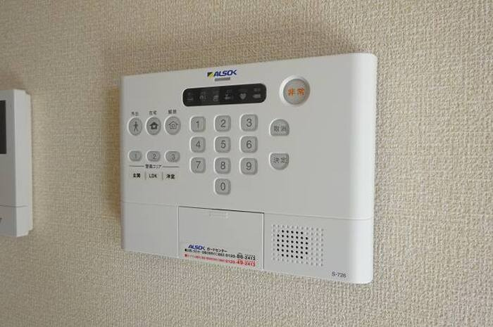 ウィット リッシュのセキュリティ