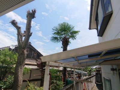 【展望】 | ＬＯＨＡＳ・ＣＡＳＡ