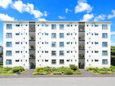【その他】 | 杉田大谷団地3号棟　改修調性物件/ペット飼育可 | ◆管理体制良好なマンションです。清潔感のあるエントランスに開放感のある住環境。
