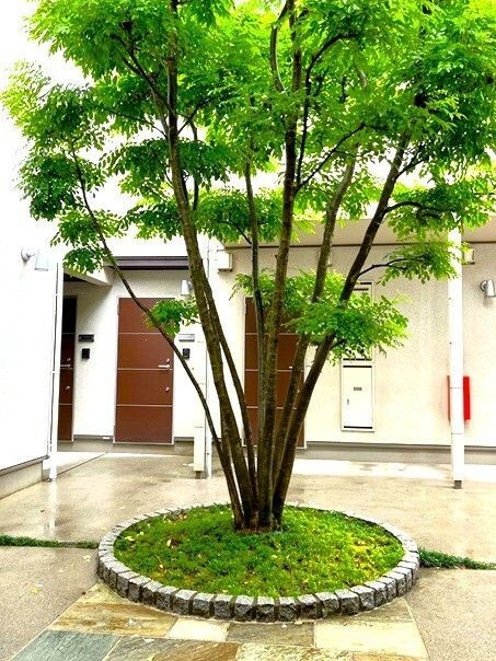 Casa Brunoのその他共用部分