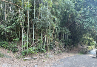 【外観】 | 大津市苗鹿1丁目717他　売土地 | 2026年撮影、土地外観