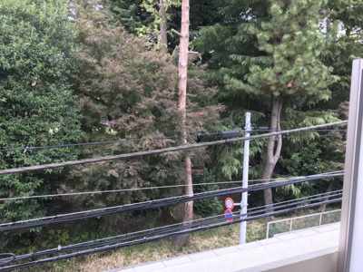 【展望】 | クレヴィスタ練馬武蔵関