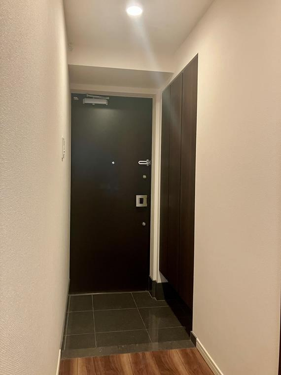 プレシス東京湊　ＴＨＥ　ＲＥＳＩＤＥＮＣＥの玄関