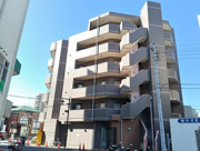 ロイヤル白楽の画像