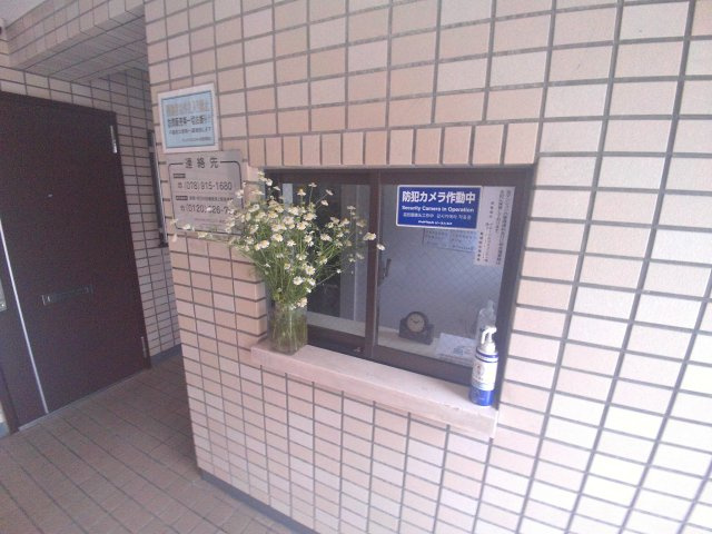 サンエクセル江井ヶ島のエントランス