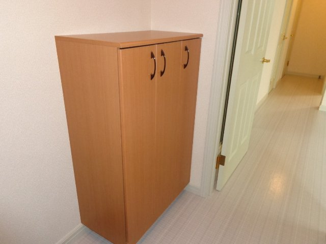 第二ペルスネージュBの玄関|玄関