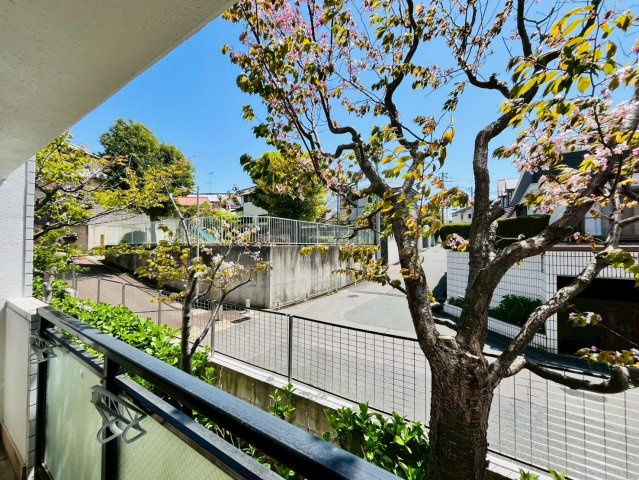 ガーデンハイツ桃山台壱番館の展望