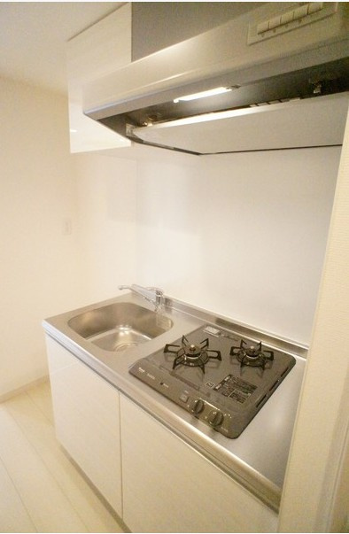 川崎市多摩区菅３丁目の賃貸マンションのキッチン